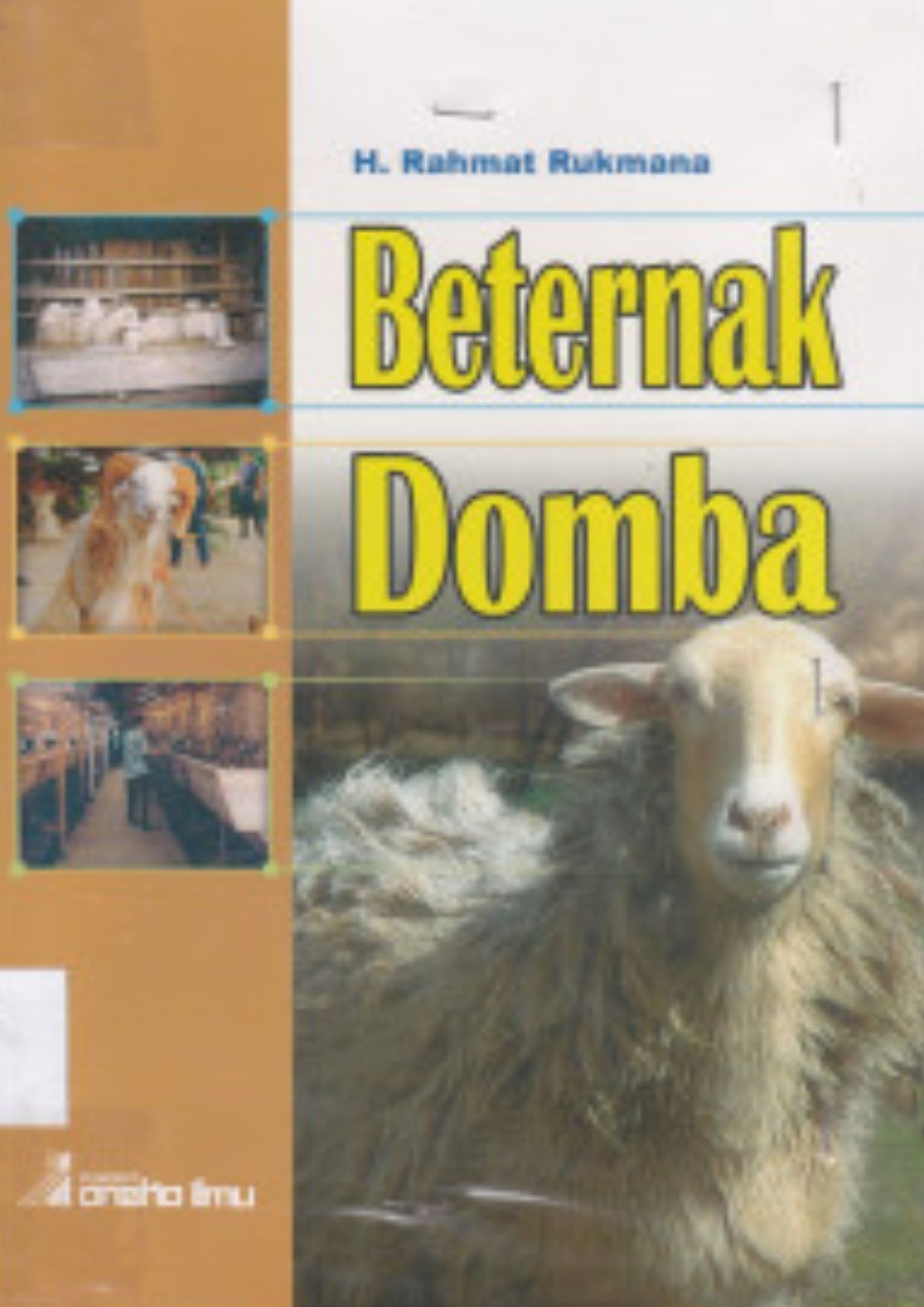 BERTERNAK DOMBA