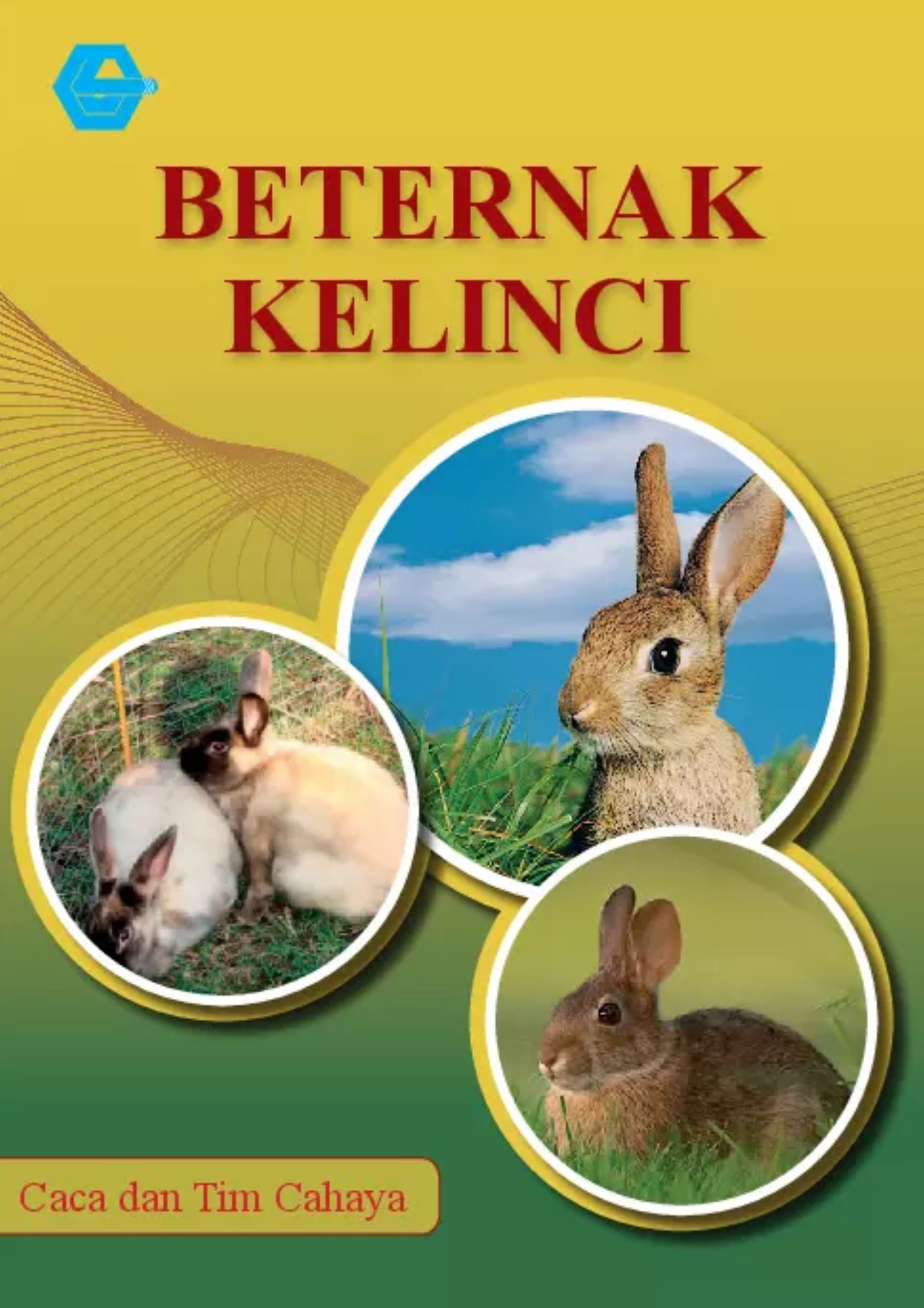 BERTERNAK KELINCI