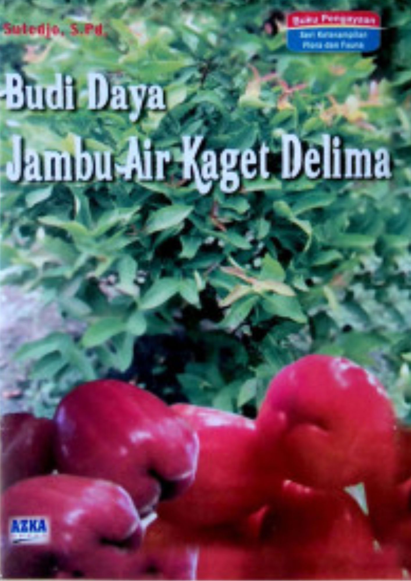 BUDIDAYA JAMBU AIR KAGET DELIMA