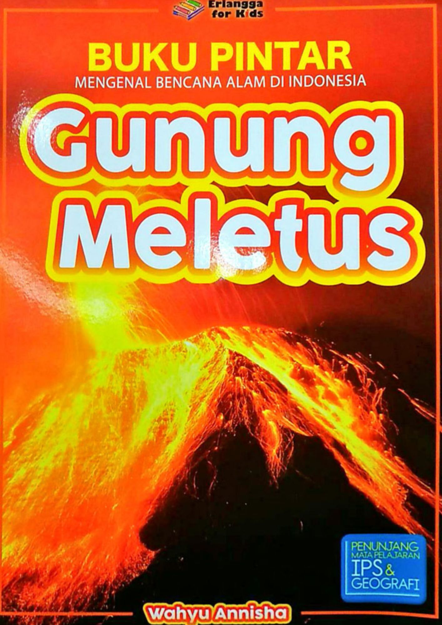 Buku Pintar Mengenal Bencana Alam Indonesia: Gunung Meletus