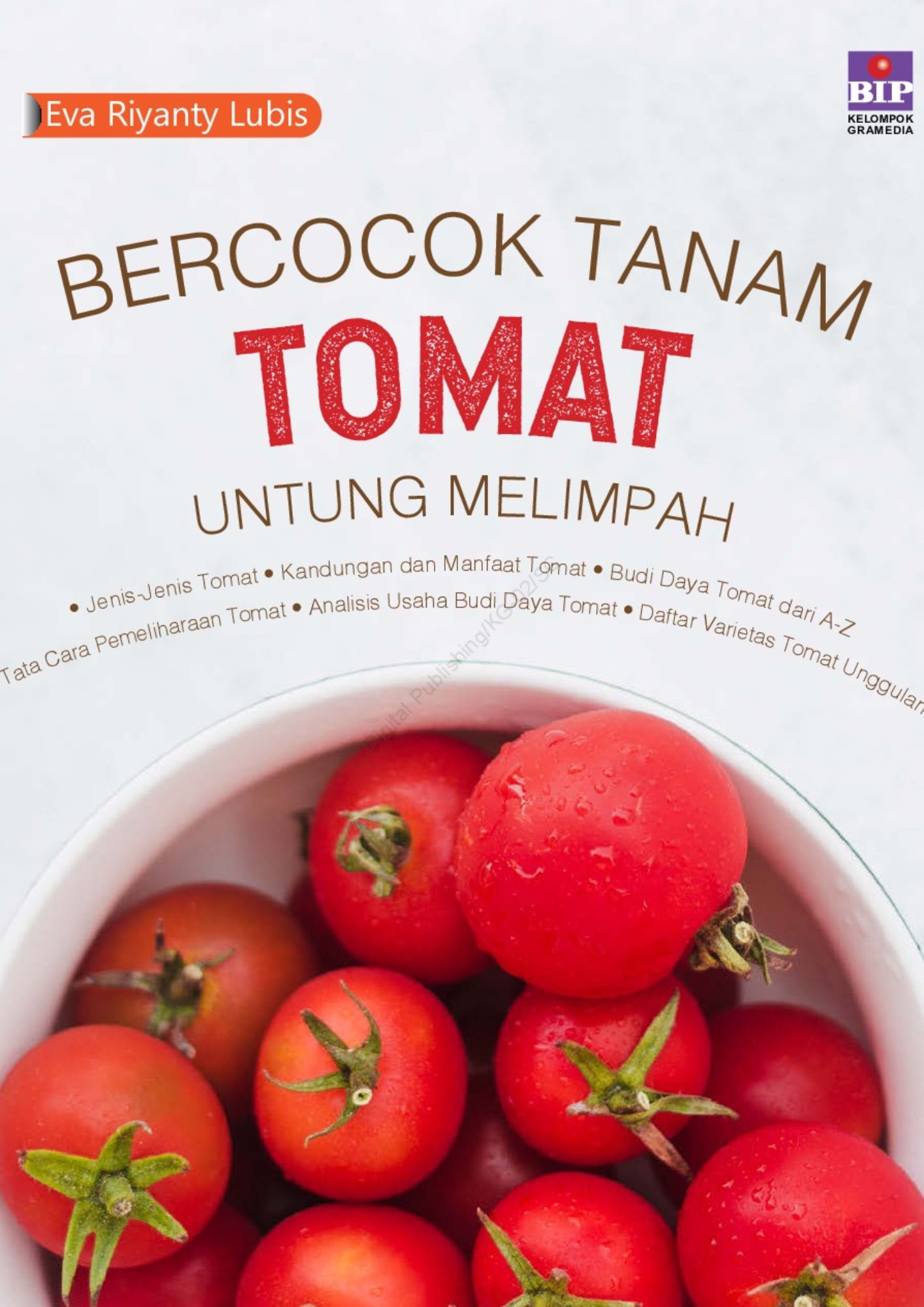 BERCOCOK TANAM TOMAT